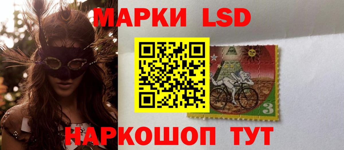 Псилоцибиновые грибы Ростов Великий